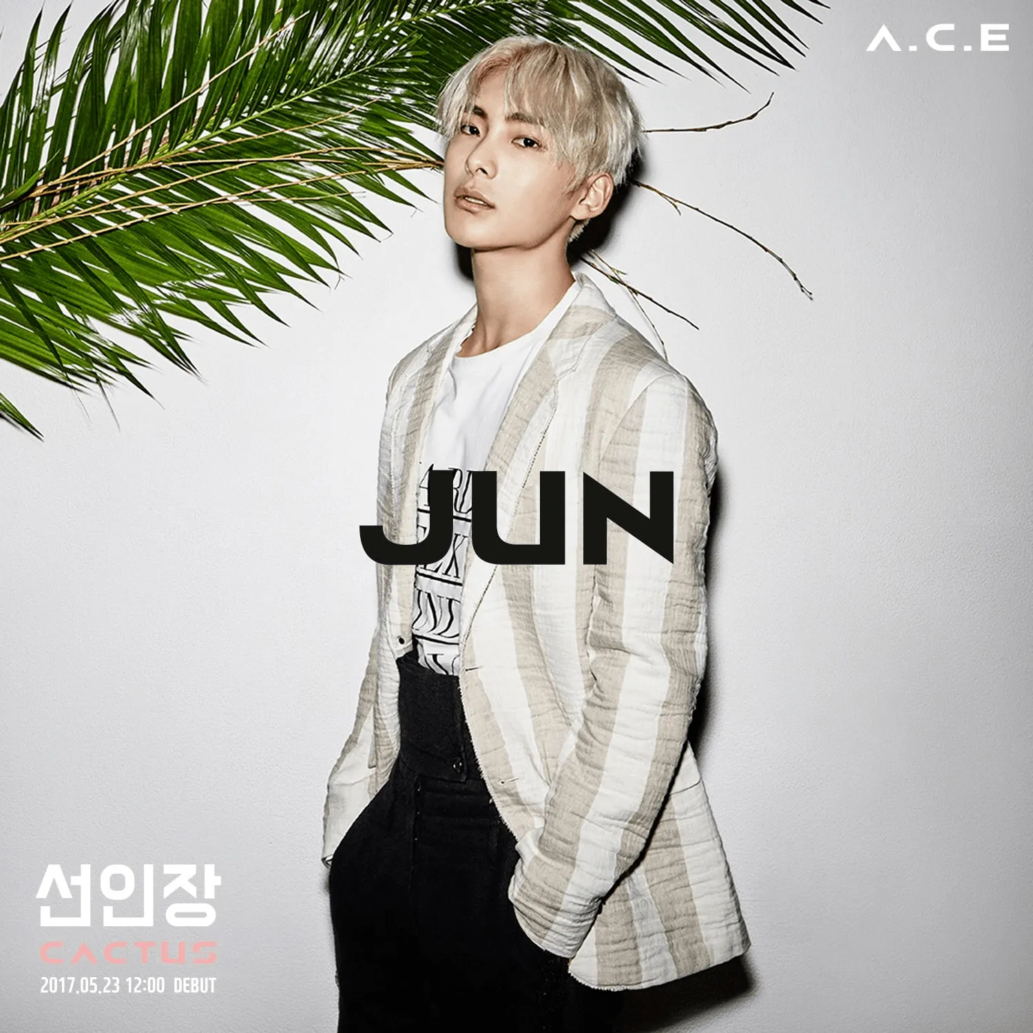 Какое любимое аниме у Джуна из A.C.E?