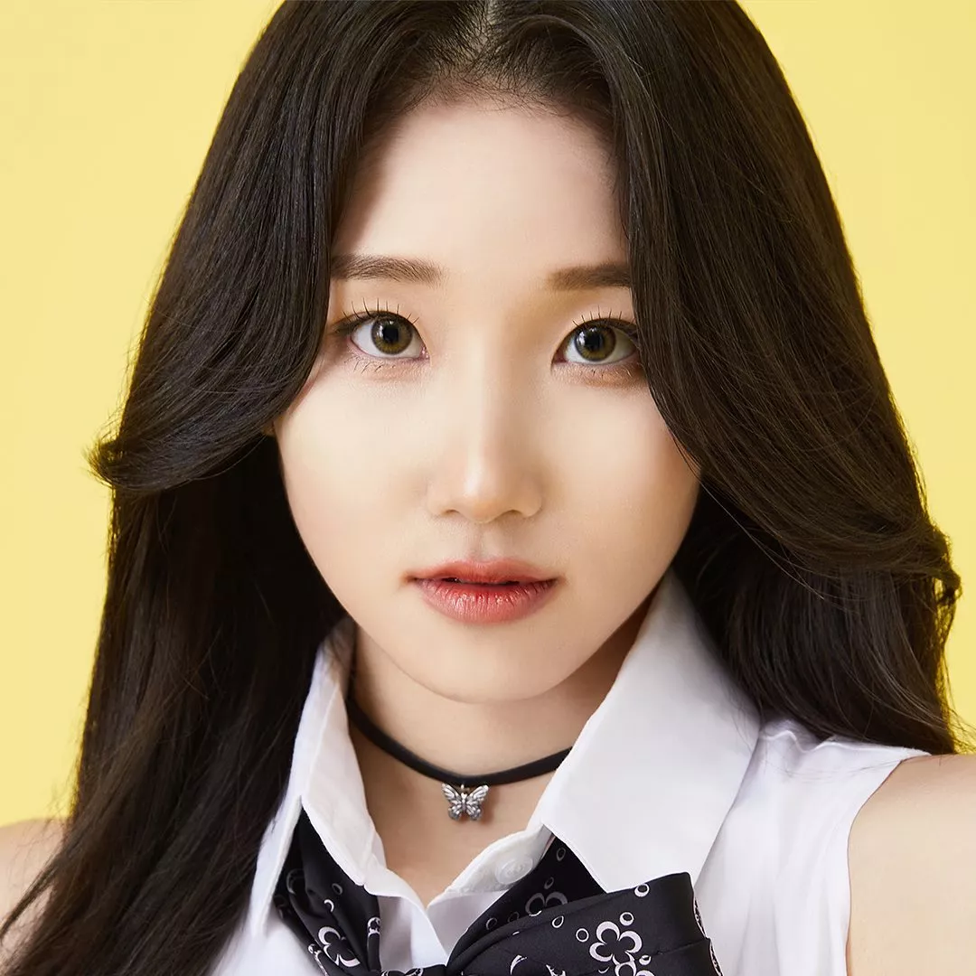 Какие любимые группы у Шаны из LAPILLUS?