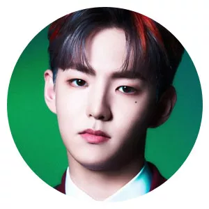 Produce X 101