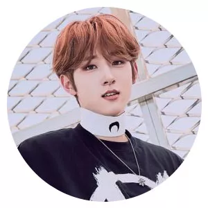 Produce X 101