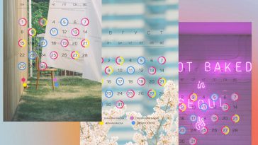 Календарики ухода: август 2022