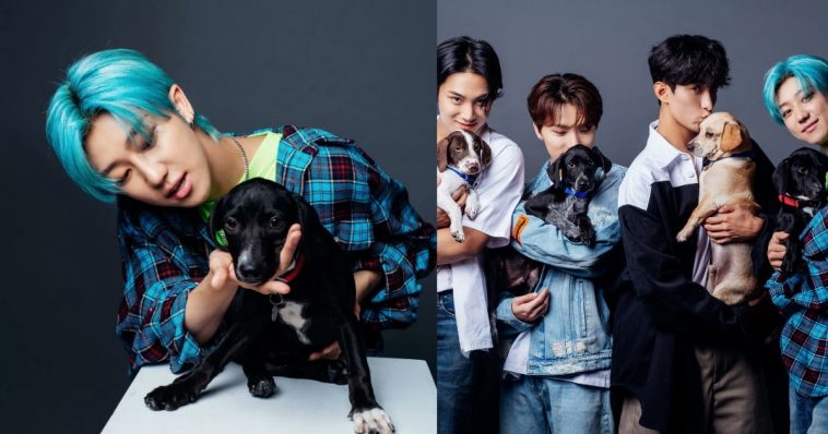 5-moments-from-seventeen’s-puppy-interview-that-show-their-true-personality