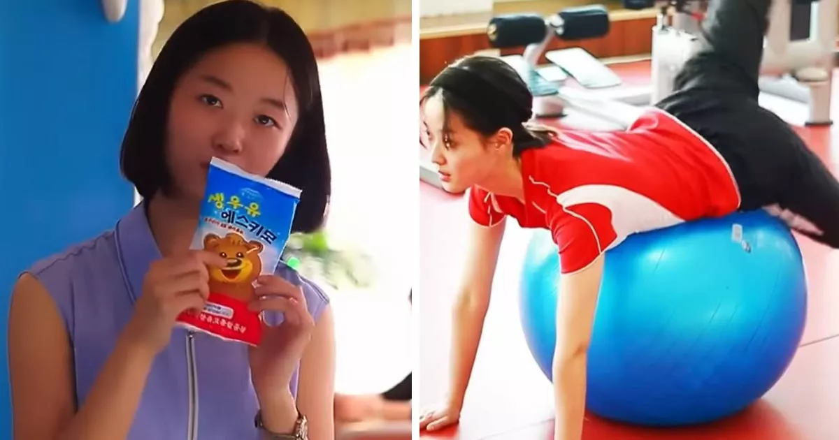 "Что за шутка": Южнокорейские нетизены не впечатлены новым англоязычным блогером из Северной Кореи