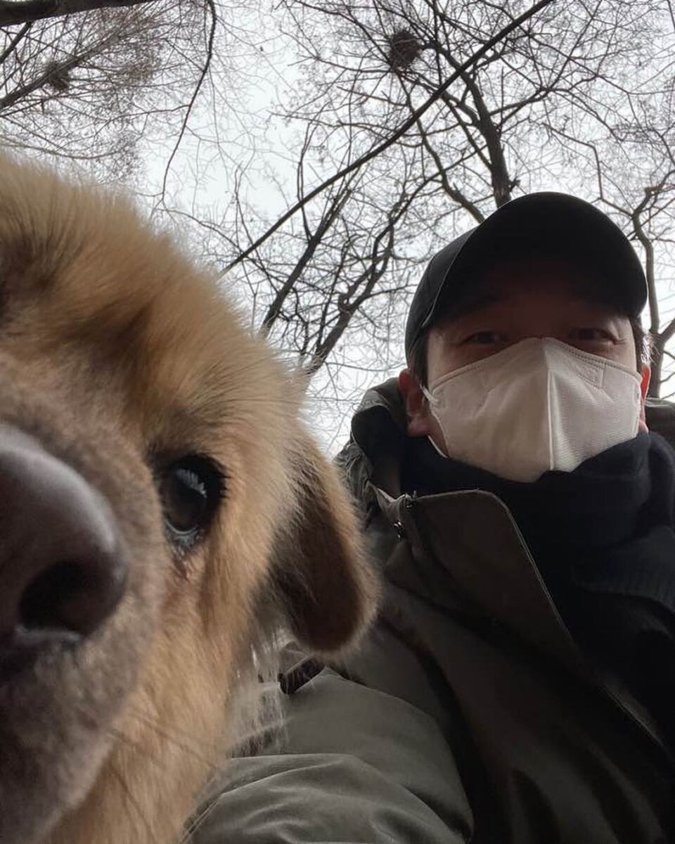 Не покупай, бери: 5 корейских звезд, которые взяли животных из приютов