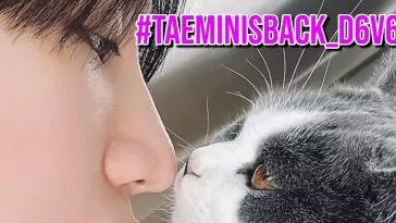 Тэмин из SHINee отмечает 6 дней до своего возвращения из армии милым сообщением в Твиттере