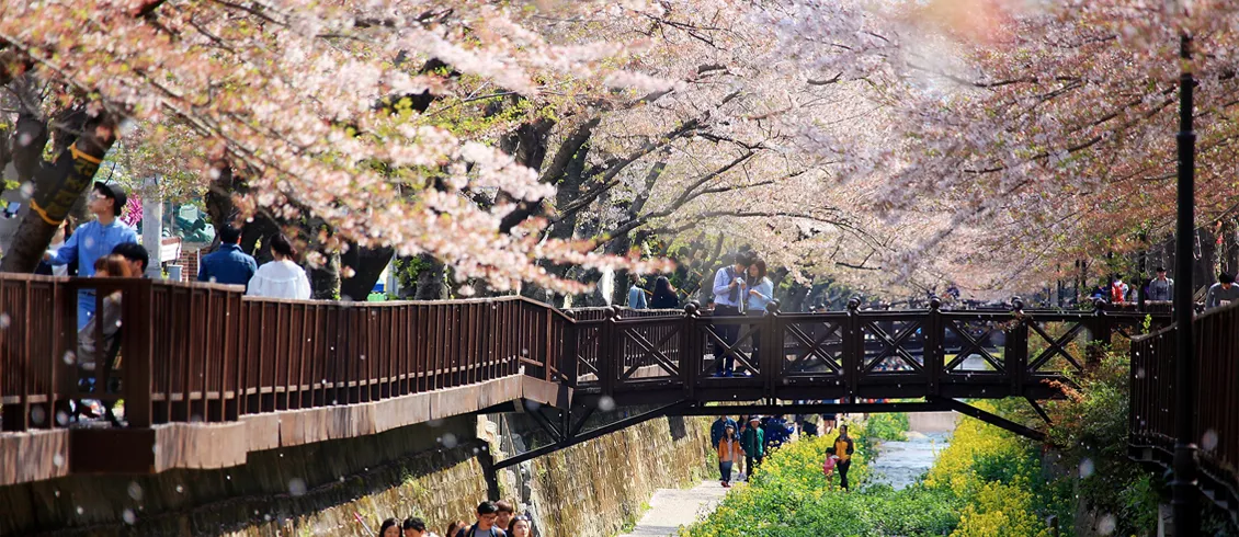 5 корейских фестивалей, которые помогут насладиться весной