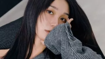 Чон Ынджи из Apink рассказала об уходе своих участниц из лейбла