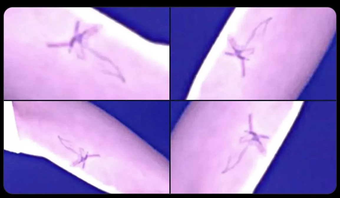 Лиса из BLACKPINK наконец-то показала новую татуировку на руке на концерте "BORN PINK" в Мексике