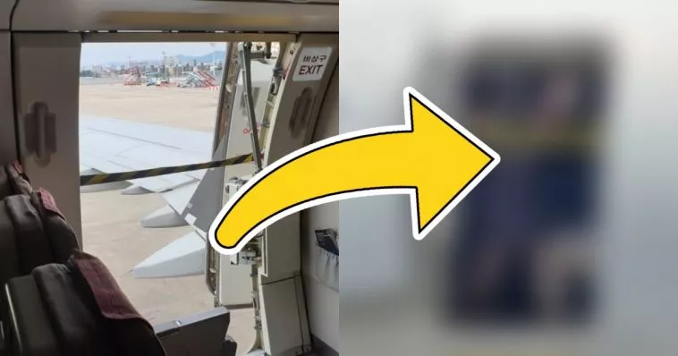 Новая вирусная фотография показывает, как бортпроводница Asiana Airlines рискует жизнью во время недавнего инцидента: корейцы возмущены