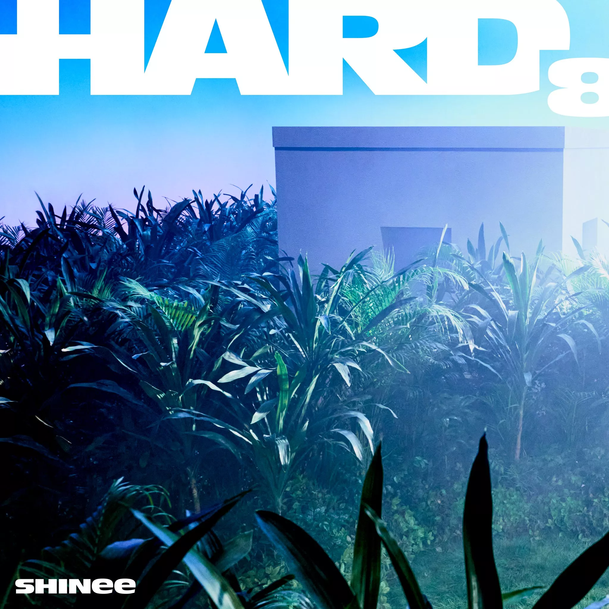 SHINee объявили дату камбэка в июне и выпустили первый тизер для альбома "HARD"