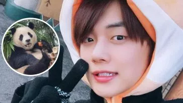 Ёнджун из TXT показал себя как самый большой поклонник... панды