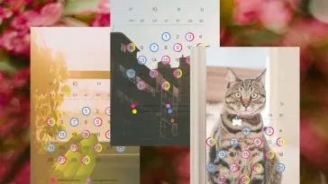 Календарь ухода: июнь 2023