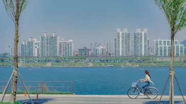 Больше не будет чимек-пикников у реки Хан? Больше не будет чимек-пикников у реки Хан?