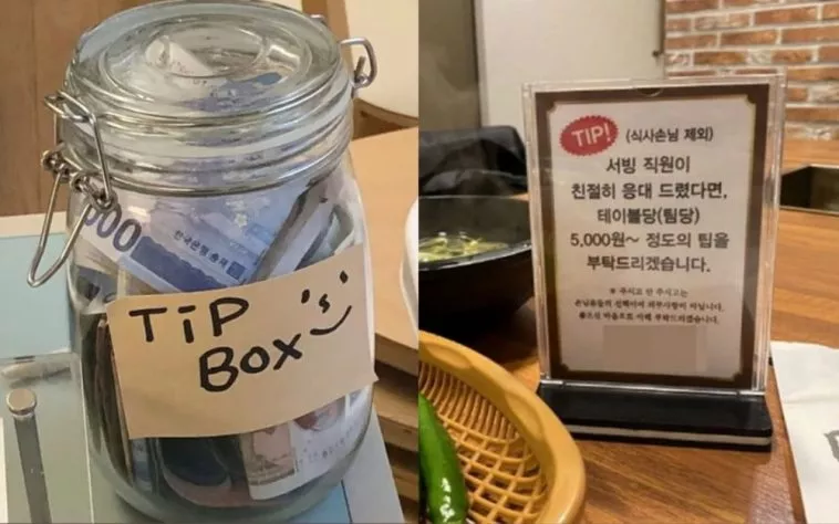 Корейцы обеспокоены появлением культуры чаевых в Южной Корее