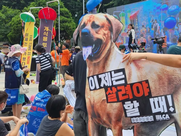 В Корее до сих пор существуют разногласия по поводу потребления собачьего мяса