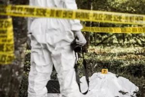 Переводы Koreatimes