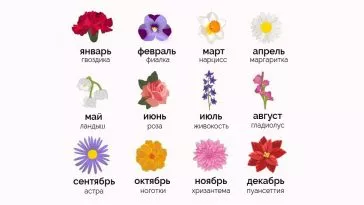 Что говорят цветы о дне вашего рождения, по мнению корейцев? Часть 1: январь, февраль, март, апрель Что говорят цветы о дне вашего рождения, по мнению корейцев?