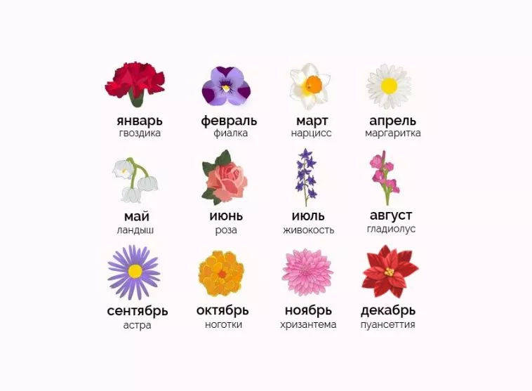 Что говорят цветы о дне вашего рождения, по мнению корейцев?