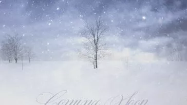 Нам Ухён из INFINITE объявил о сольном камбэке после двухлетнего перерыва