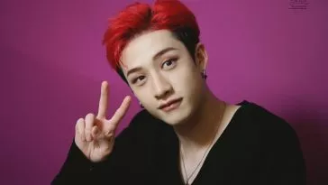как хорошо вы знаете Stray Kids?