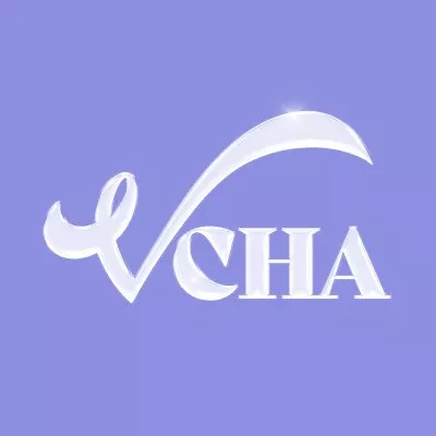 Группа VCHA: профайл и факты об участницах