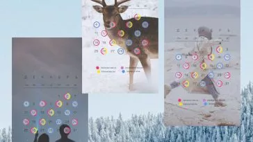 Календарики ухода: декабрь 2023