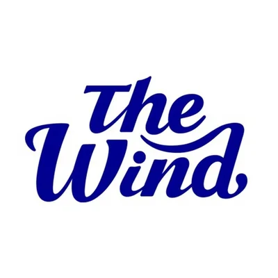 Группа The Wind: профайл и факты об участниках